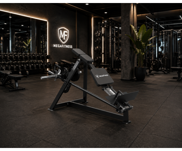 Plate Loaded Pull Back | Megafitness