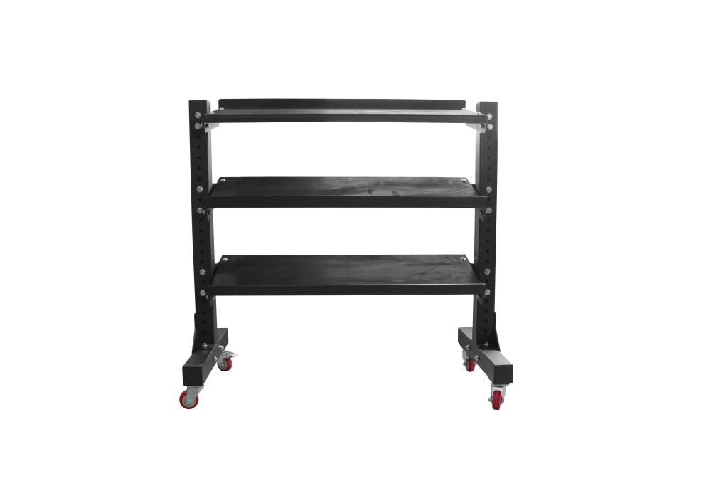 Mobile metal dumbbell rack with adjustable storage rails