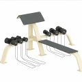 Bench With Dumbbells For Bicep Curls | Megafitness