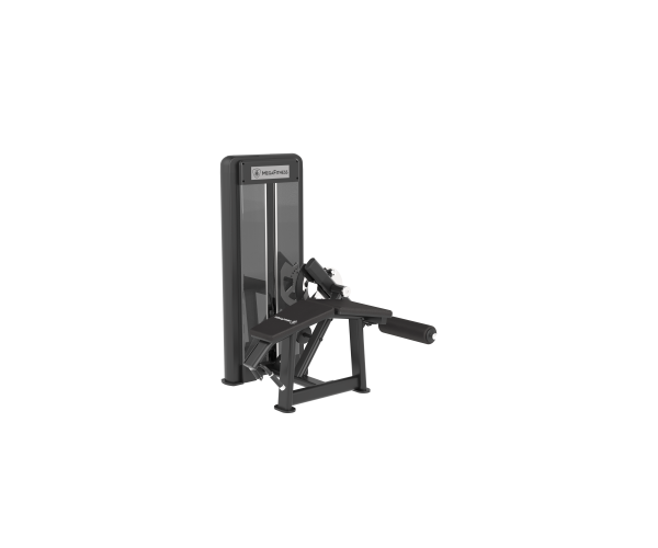 Prone Leg Curl | Megafitness