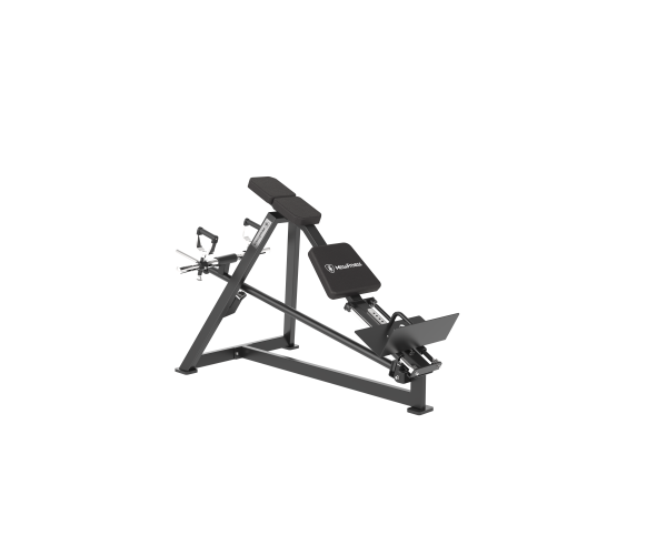 Plate Loaded Pull Back | Megafitness