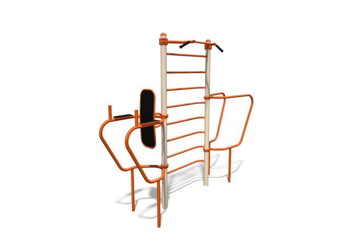 Abs - Pull Ups - Dips Station | Megafitness